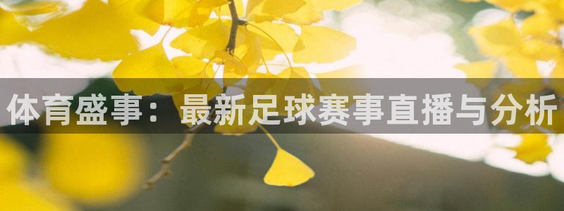 体育盛事：最新足球赛事直播与分析