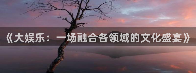 《大娱乐：一场融合各领域的文化盛宴》