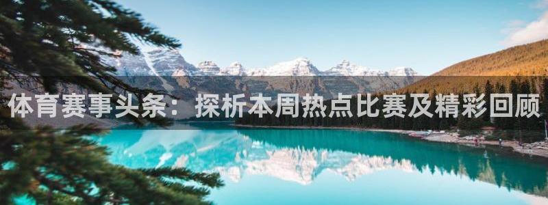体育赛事头条：探析本周热点比赛及精彩回顾