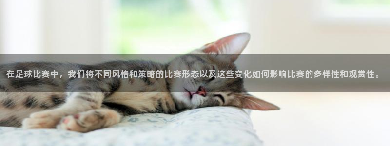 在足球比赛中，我们将不同风格和策略的比赛形态以及这些变化如何影响比赛的多样性和观赏性。