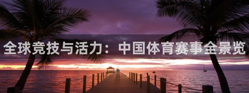 全球竞技与活力：中国体育赛事全景览