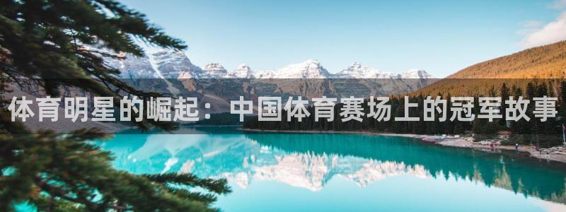 体育明星的崛起：中国体育赛场上的冠军故事