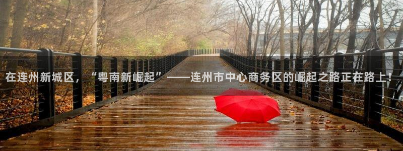 在连州新城区，“粤南新崛起”——连州市中心商务区的崛起之路正在路上！