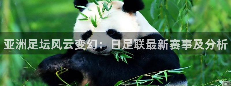 亚洲足坛风云变幻：日足联最新赛事及分析