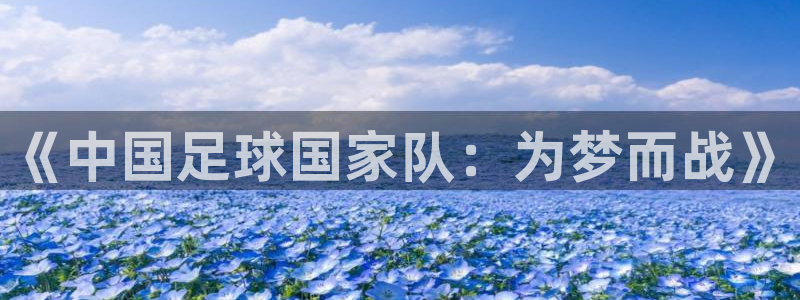 《中国足球国家队：为梦而战》