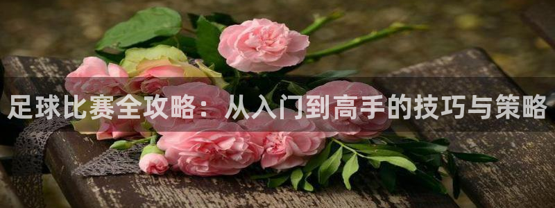 足球比赛全攻略：从入门到高手的技巧与策略