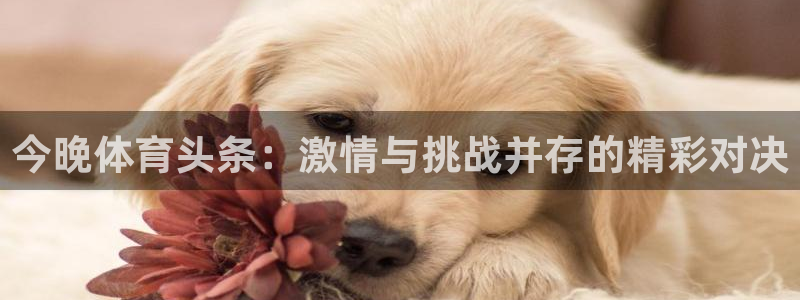 今晚体育头条：激情与挑战并存的精彩对决