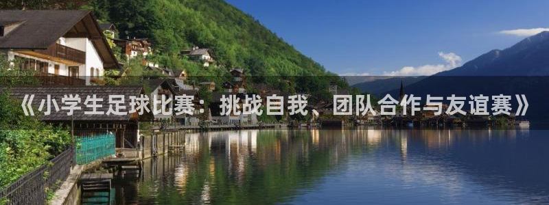 《小学生足球比赛：挑战自我、团队合作与友谊赛》