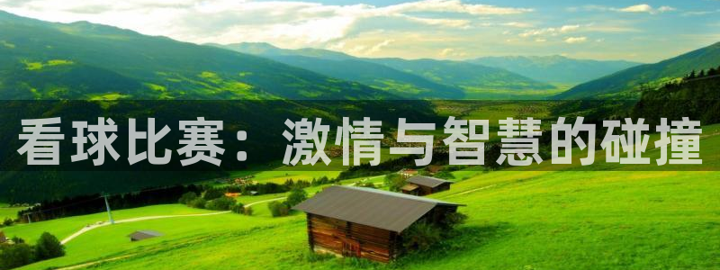 看球比赛：激情与智慧的碰撞