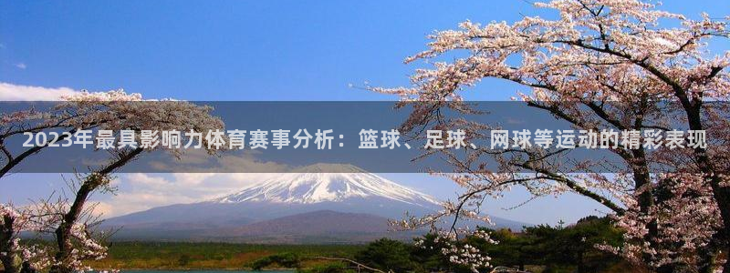 2023年最具影响力体育赛事分析：篮球、足球、网球等运动的精彩表现