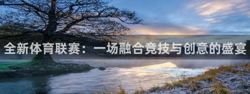 全新体育联赛：一场融合竞技与创意的盛宴