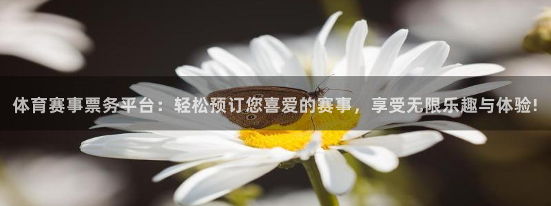 体育赛事票务平台：轻松预订您喜爱的赛事，享受无限乐趣与体验!