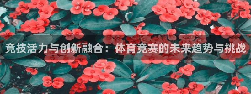 竞技活力与创新融合：体育竞赛的未来趋势与挑战