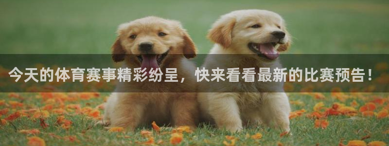 今天的体育赛事精彩纷呈，快来看看最新的比赛预告！