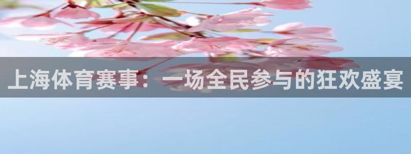 上海体育赛事：一场全民参与的狂欢盛宴