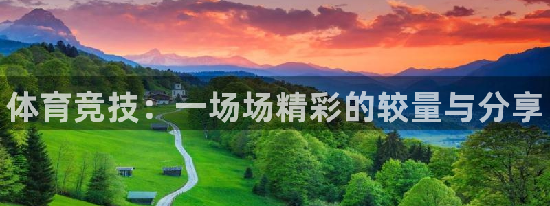 体育竞技：一场场精彩的较量与分享