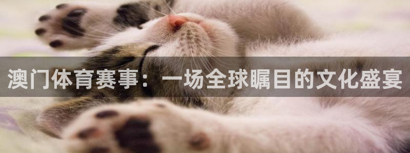 澳门体育赛事：一场全球瞩目的文化盛宴