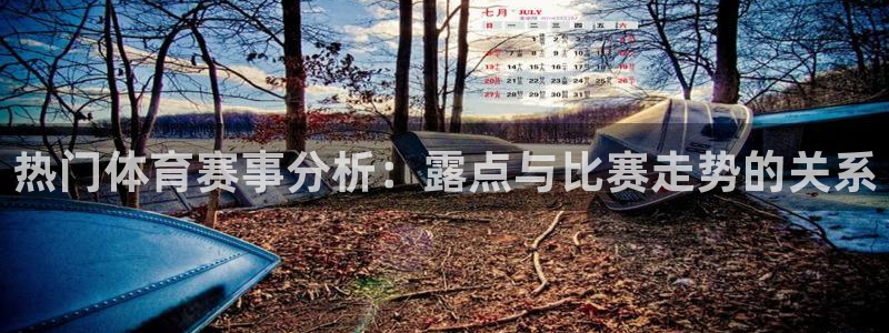 热门体育赛事分析：露点与比赛走势的关系