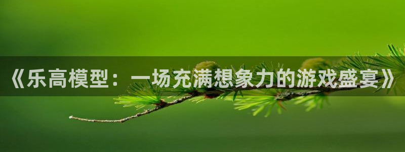 《乐高模型：一场充满想象力的游戏盛宴》