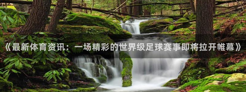 《最新体育资讯：一场精彩的世界级足球赛事即将拉开帷幕》